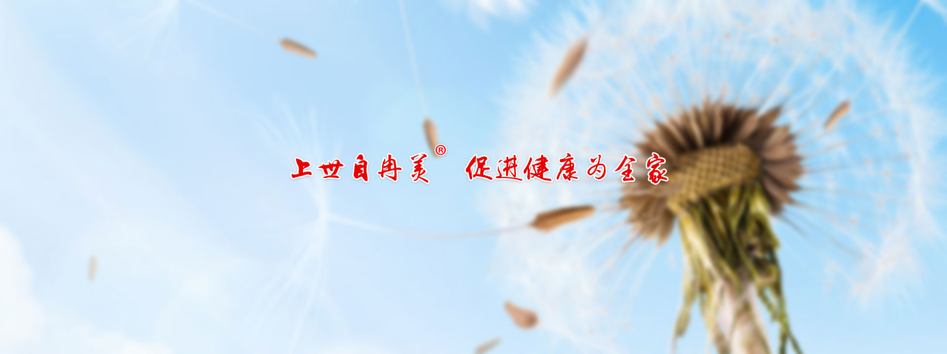 ����Ʒ��